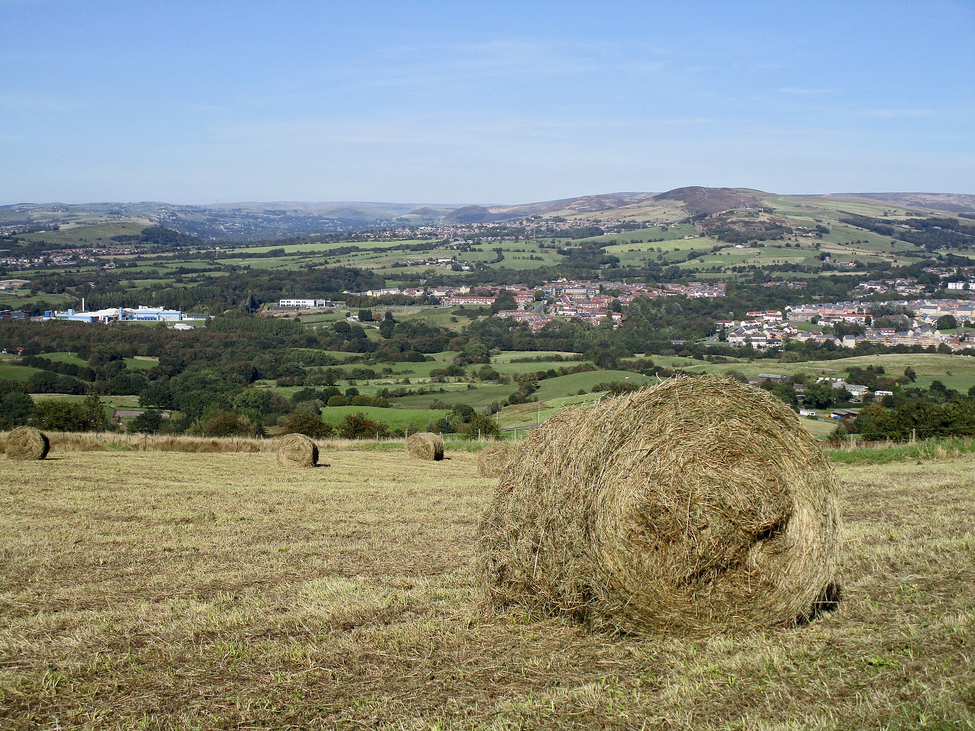 Large round hay bales standing in a freshly cut Sussex field